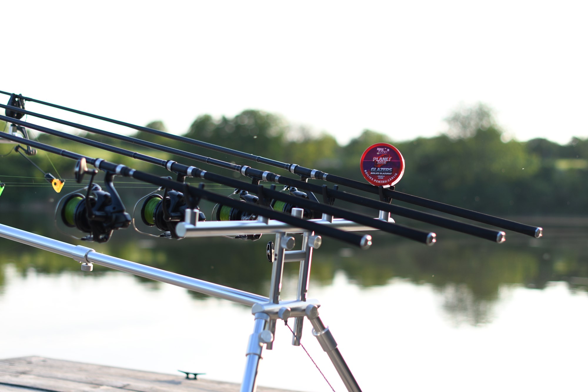 Tancabesti 29 mai - 2 iun. - DSC9524.jpg